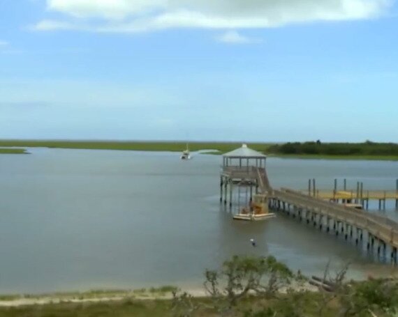 TidalWalk – Meet The Neighbors