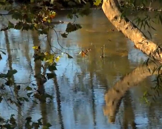 Walnut Creek Priorities